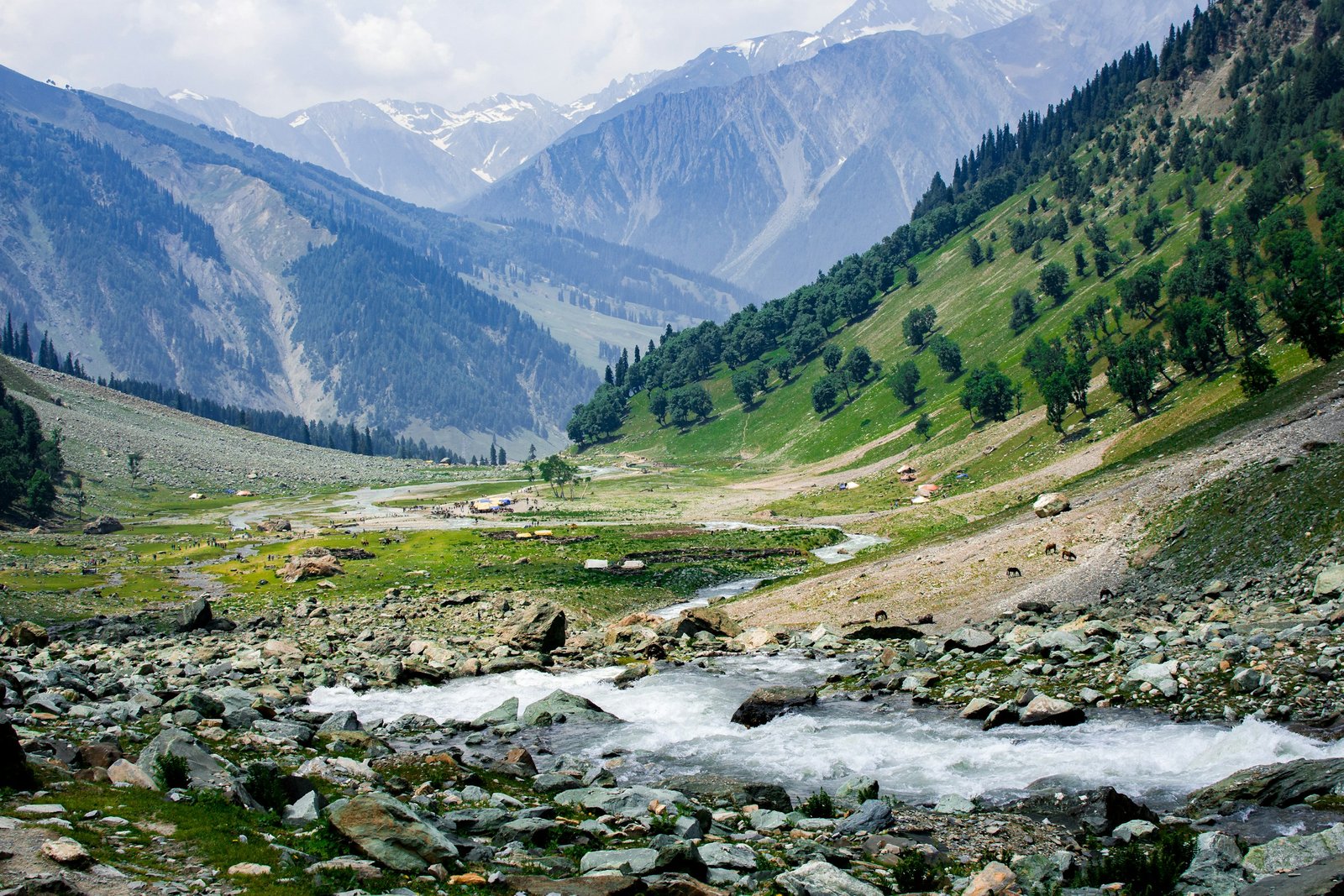 Kashmir: The Valley, Honestly